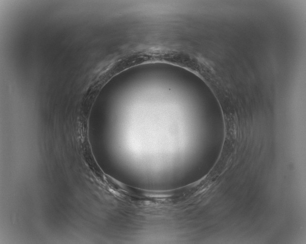 X0000063491253200601201300