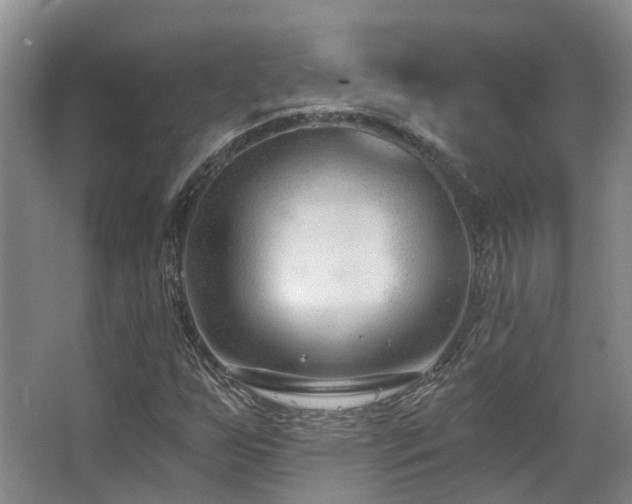 X0000063491255200601201300
