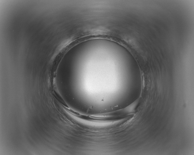 X0000063491261200601201300