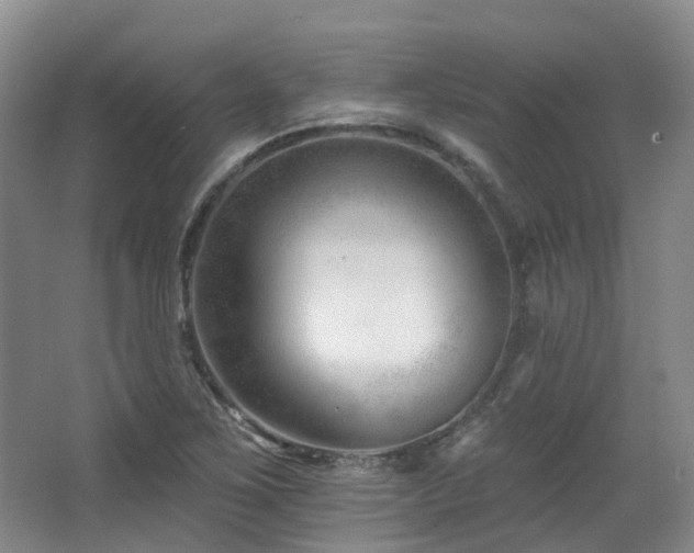X0000063491267200601201300