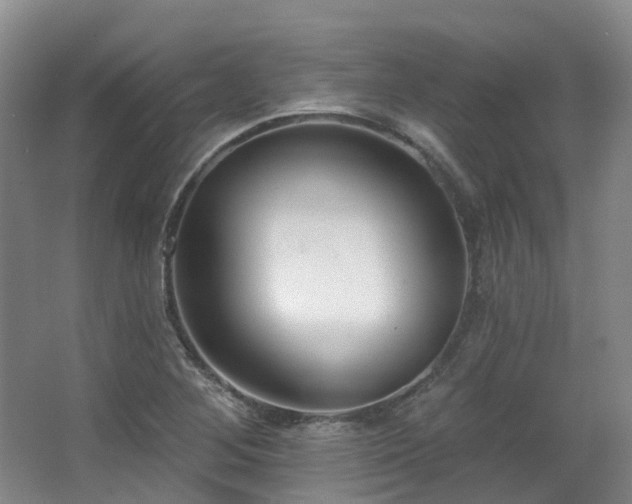 X0000063491268200601201300