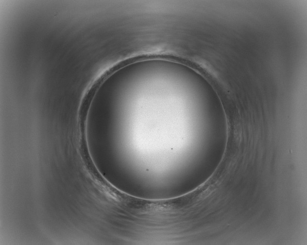 X0000063491270200601201300
