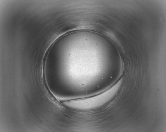 X0000063491276200601201300