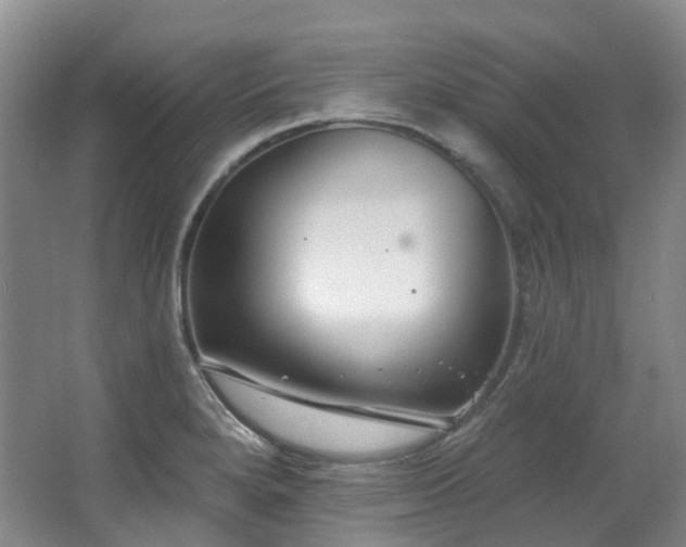 X0000063491280200601201300