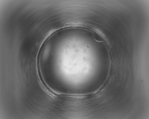 X0000063491283200601201300