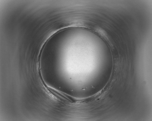 X0000063491284200601201300