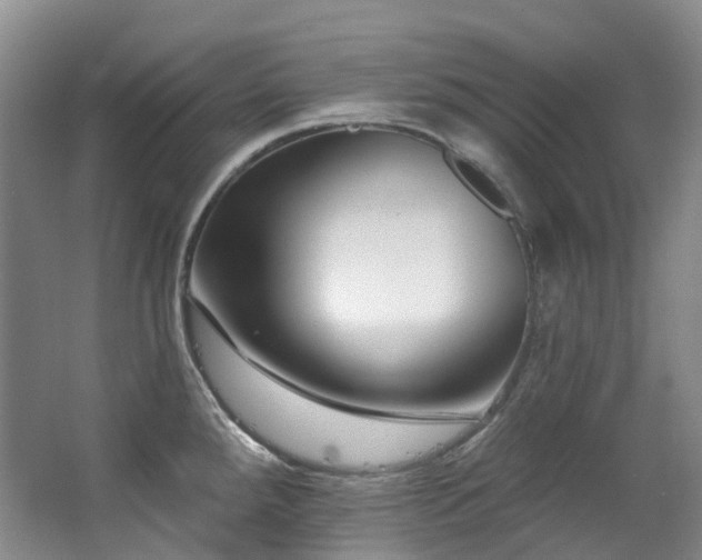 X0000063491288200601201300