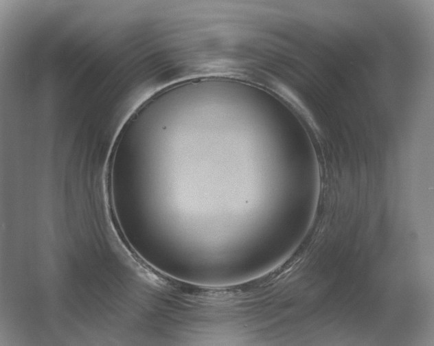 X0000063491291200601201300
