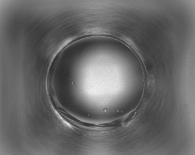 X0000063491293200601201300