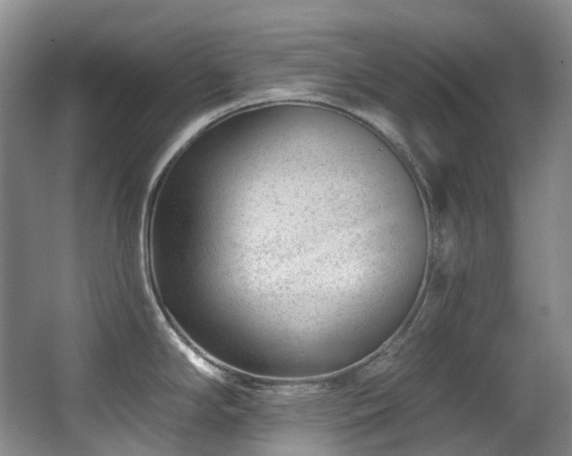 X0000063491294200601201300