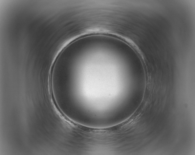 X0000063491295200601201259