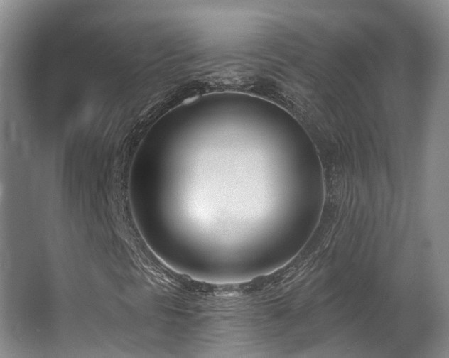 X0000063491297200601201259