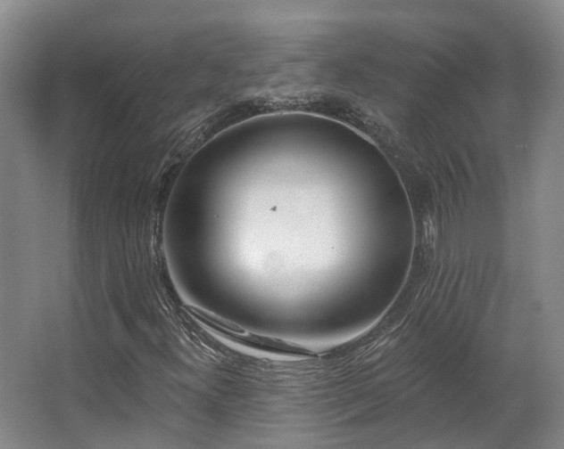 X0000063491300200601201259
