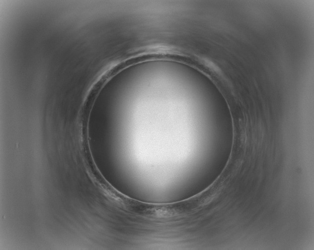 X0000063491318200601201259