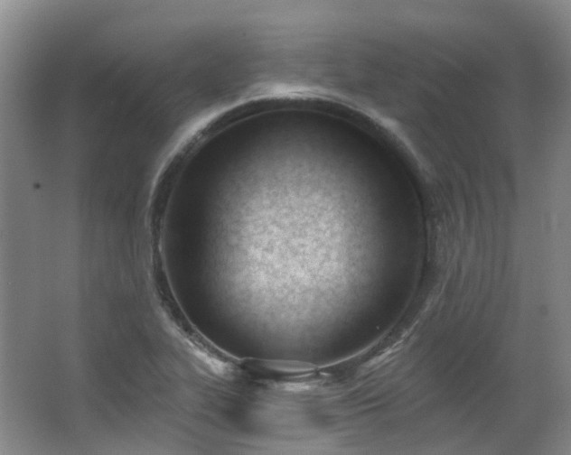 X0000063491319200601201259