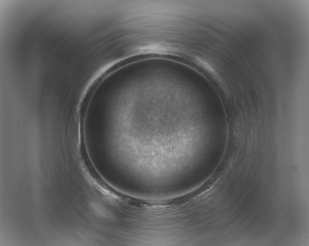 X0000063491323200601201259