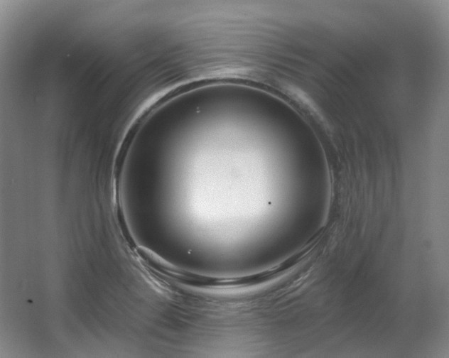 X0000063491324200601201259