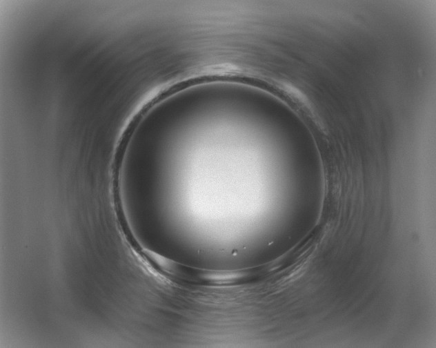 X0000063491326200601201259