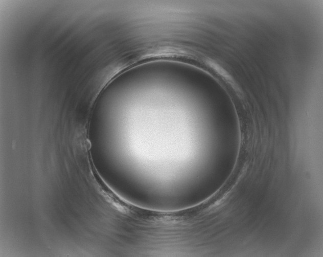 X0000063491329200601201259