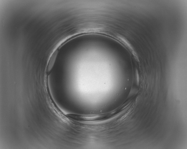 X0000063491340200601201259