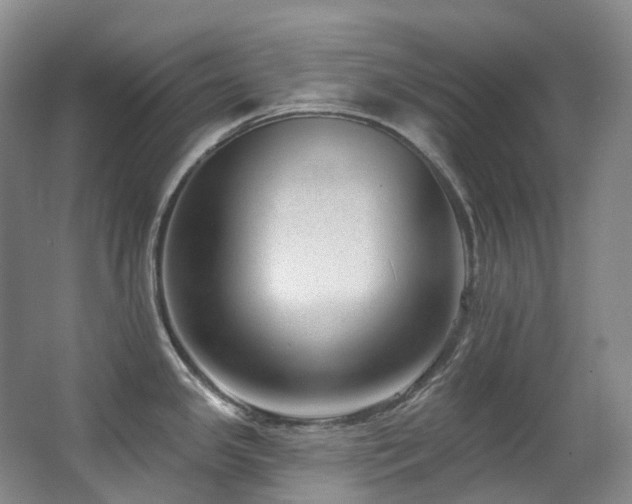 X0000063491341200601201259