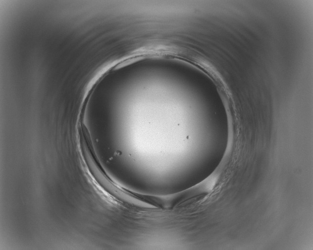 X0000063491344200601201259