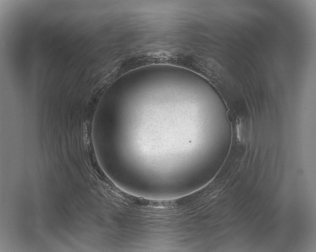 X0000063491347200601201259