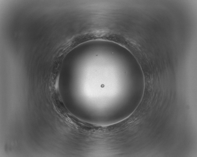 X0000063491349200601201259