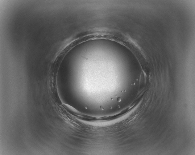 X0000063491352200601201259