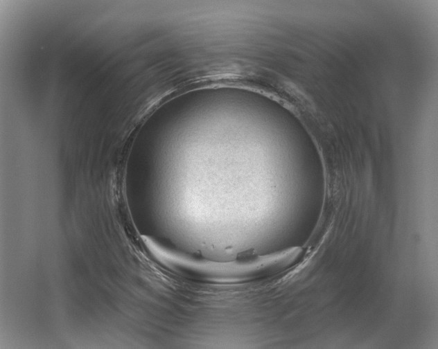 X0000063491353200601201259