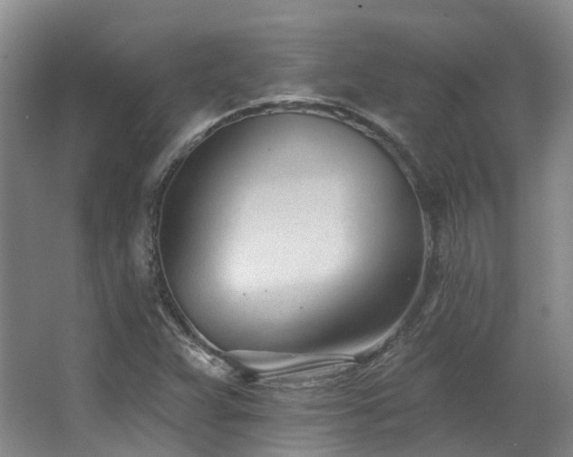 X0000063491359200601201258