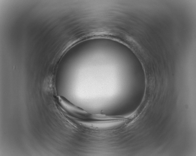 X0000063491361200601201258