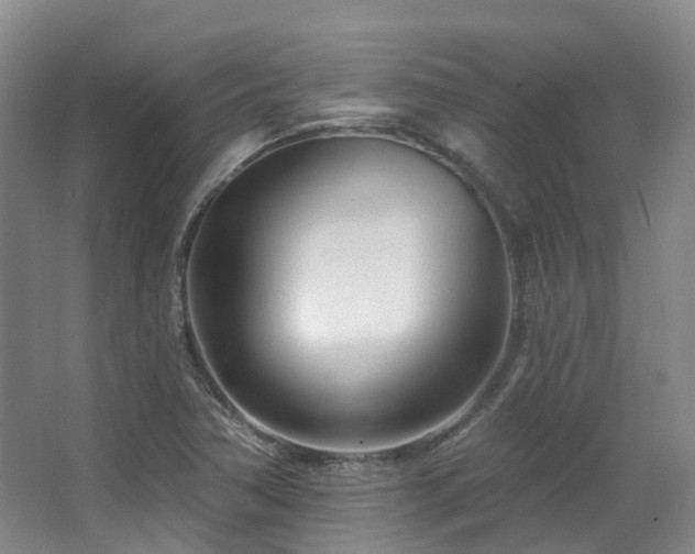 X0000063491362200601201258