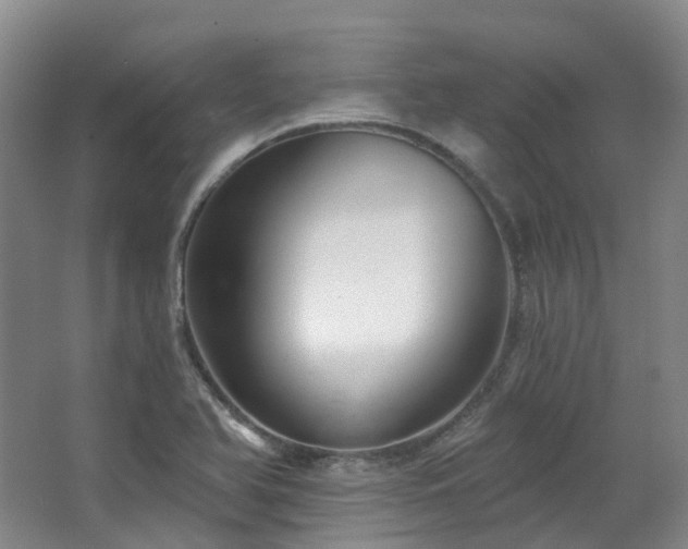 X0000063491366200601201258