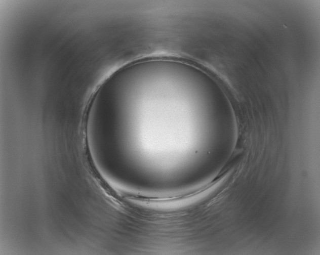 X0000063491367200601201258