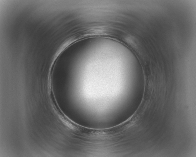 X0000063491370200601201258