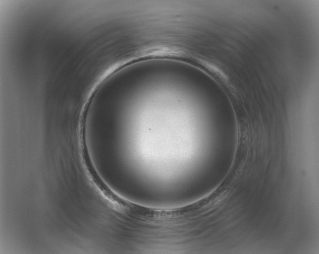 X0000063491375200601201258
