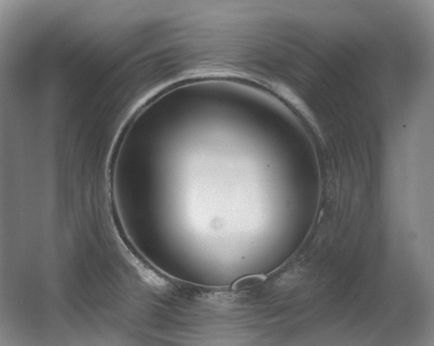 X0000063491380200601201258