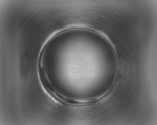 X0000063491389200601201258