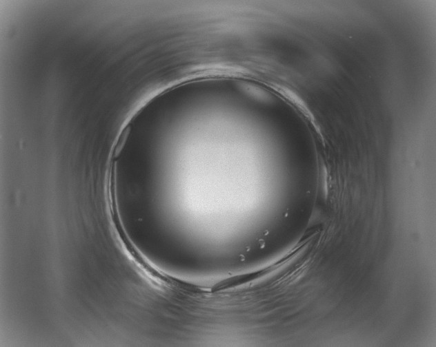 X0000063491391200601201258