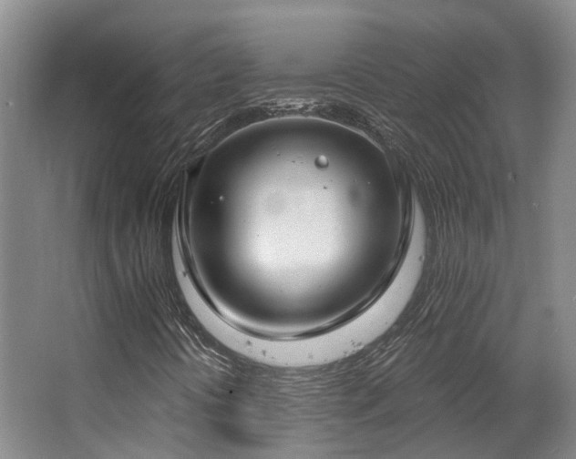 X0000063491394200601201257