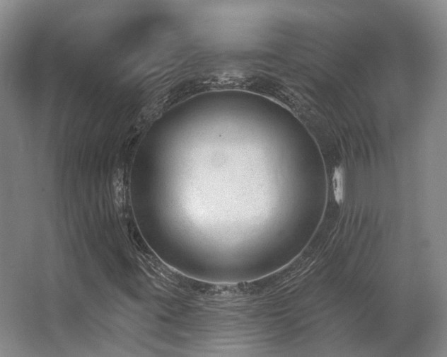 X0000063491395200601201257
