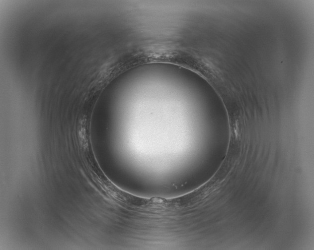 X0000063491396200601201257