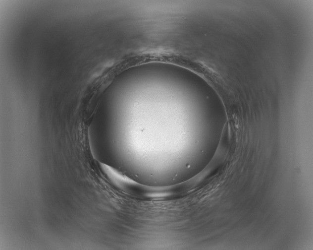 X0000063491398200601201257