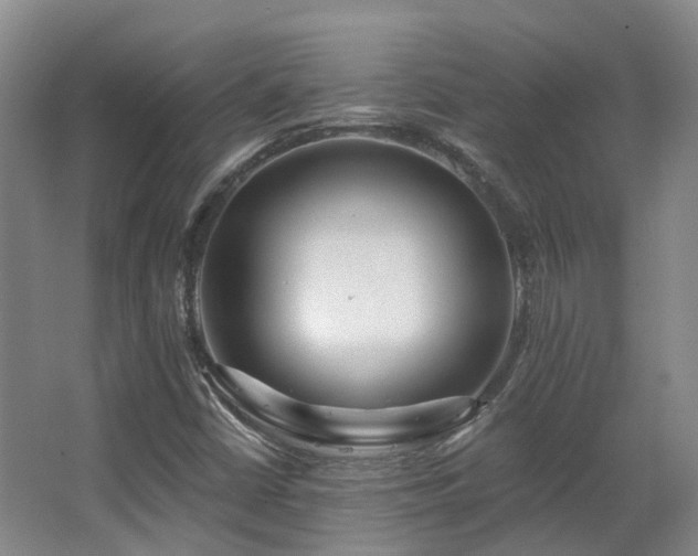 X0000063491402200601201257