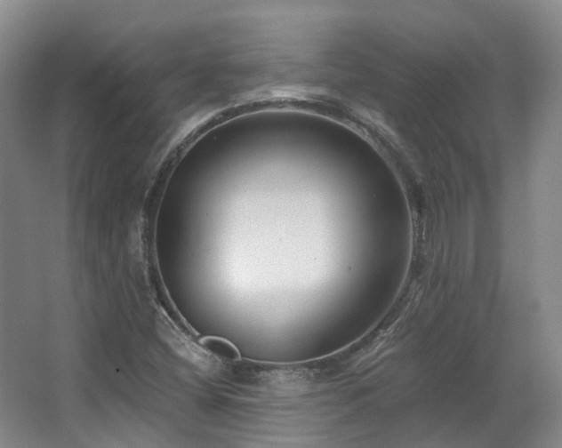 X0000063491404200601201257