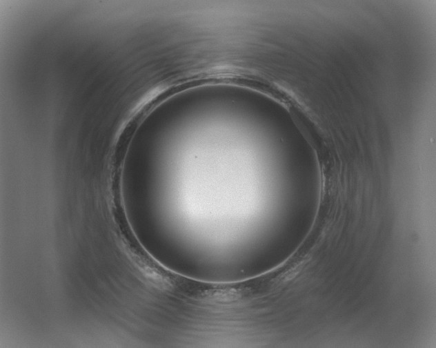 X0000063491410200601201257