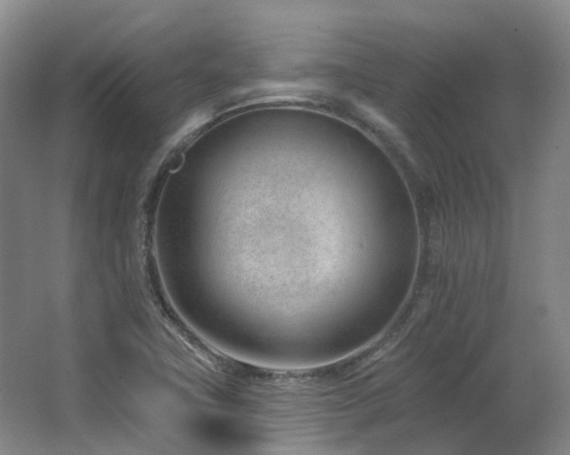 X0000063491411200601201257