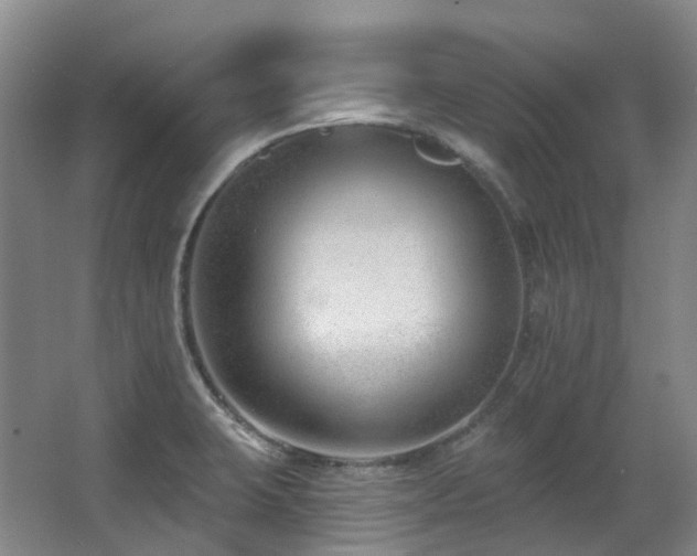 X0000063491423200601201258