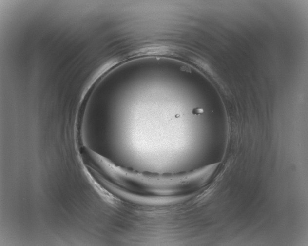 X0000063491426200601201258